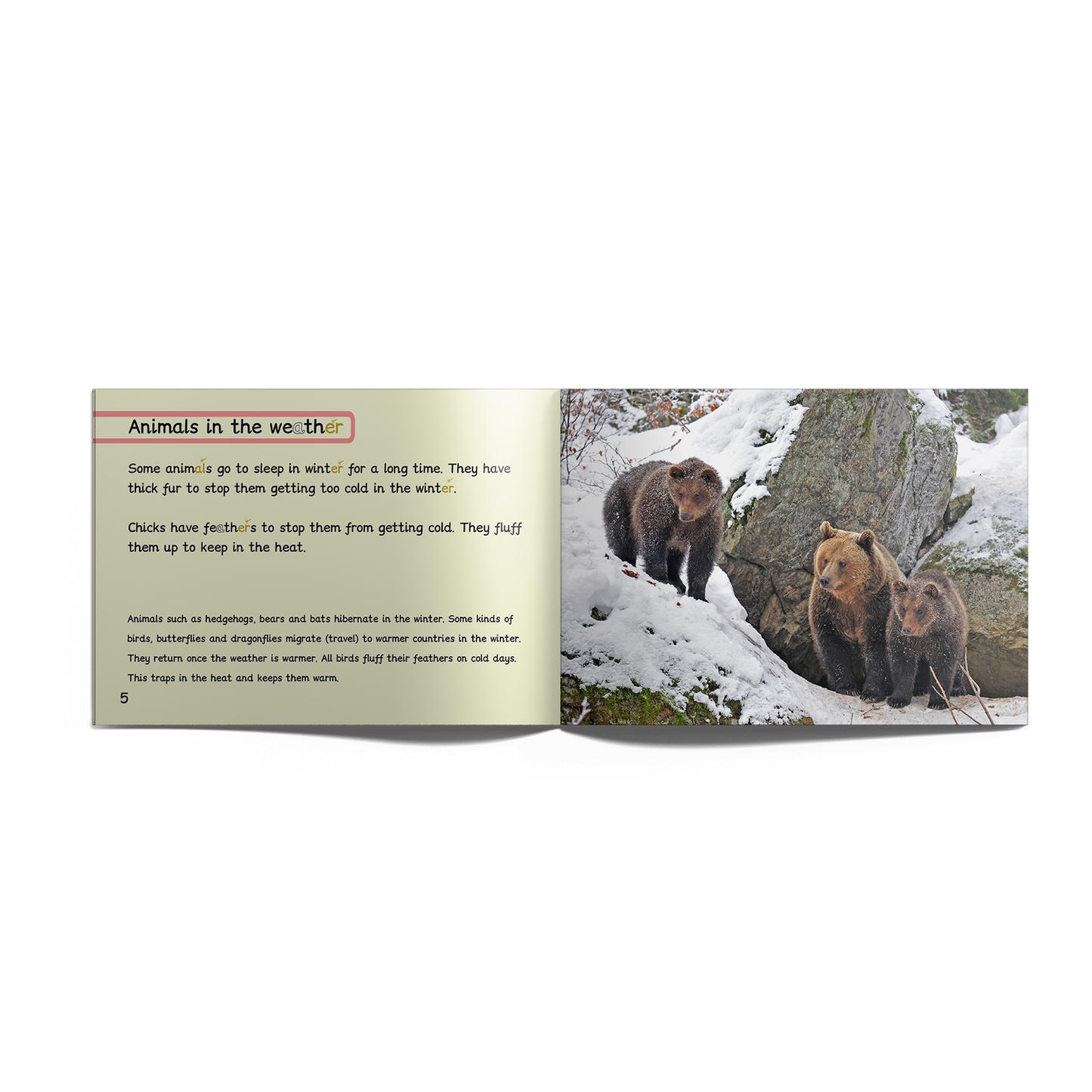 Non-Fiction Books Year 1