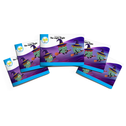 MULTI-SET: 5 x Fiction Books Year 1