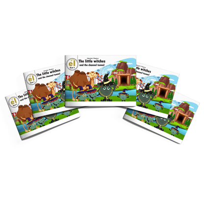 MULTI-SET: 5 x Fiction Books Year 2