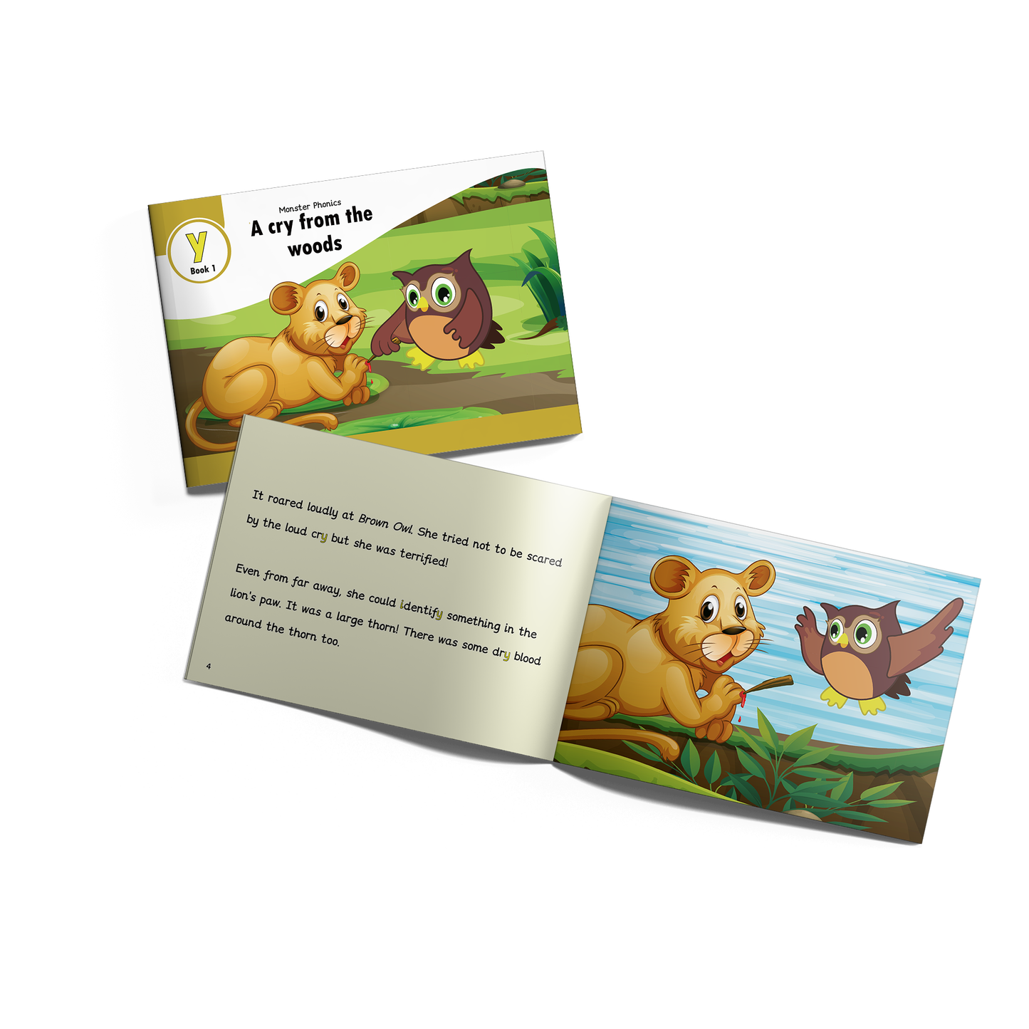 MULTI-SET: 5 x Fiction Books Year 2