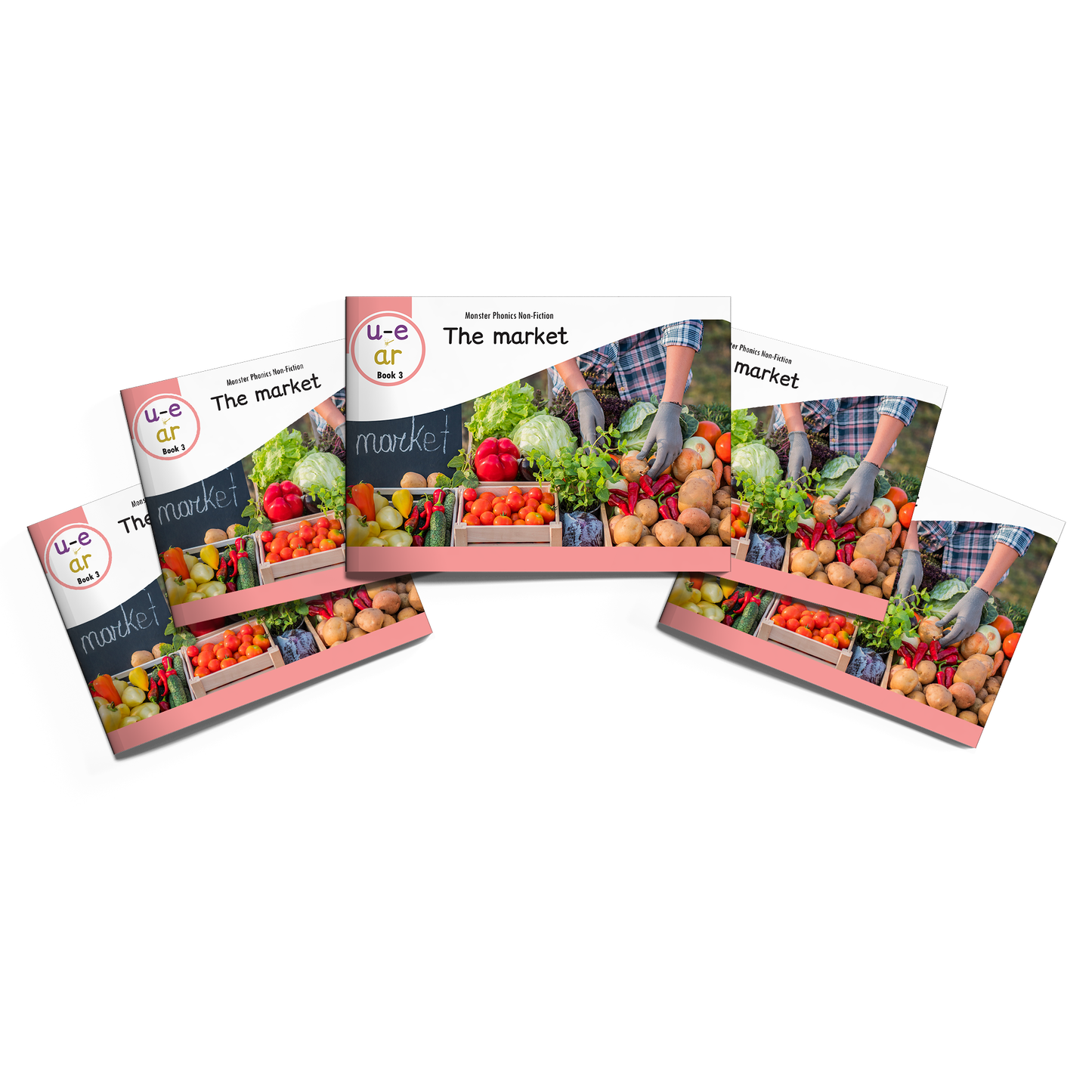 MULTI-SET: 5 x Non-Fiction Books Year 1