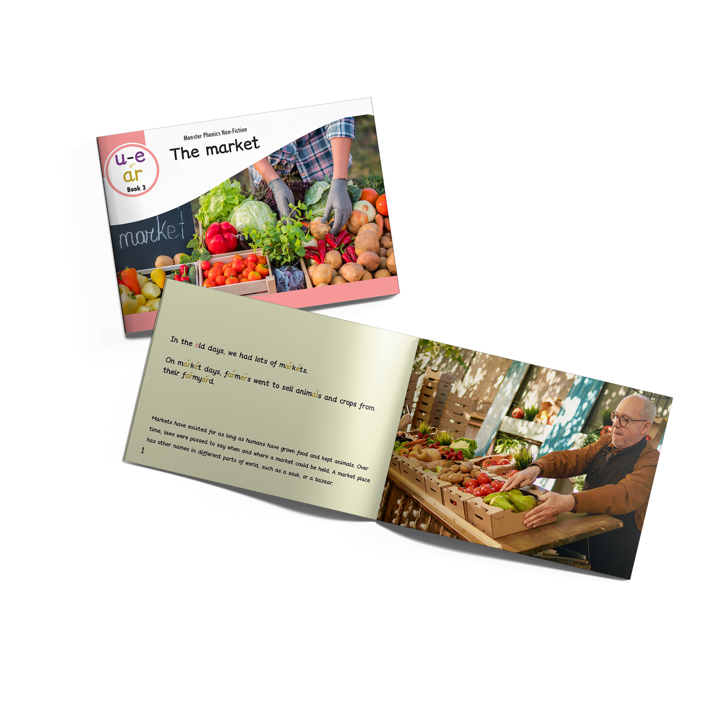 MULTI-SET: 5 x Non-Fiction Books Year 1