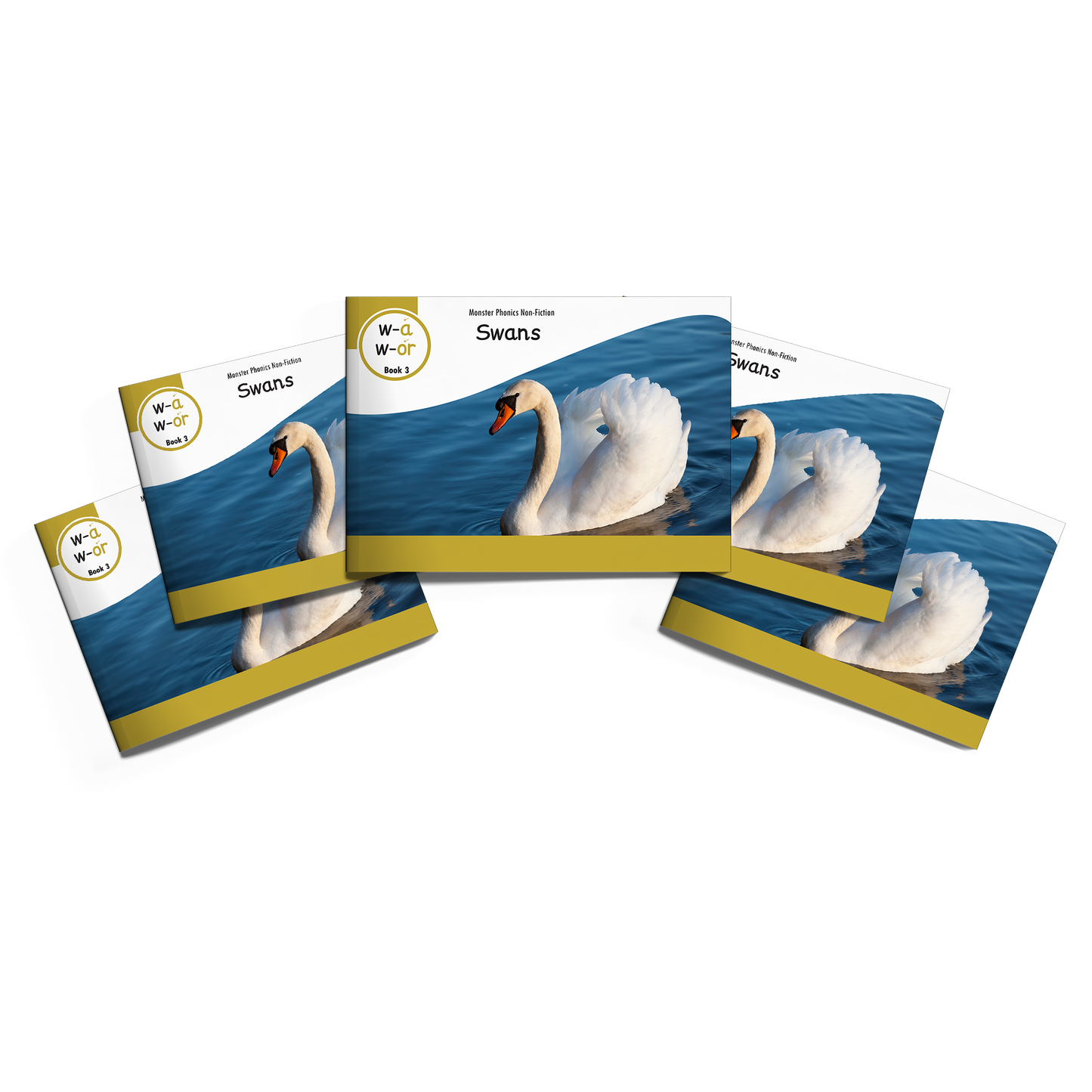 MULTI-SET: 5 x Non-Fiction Books Year 2