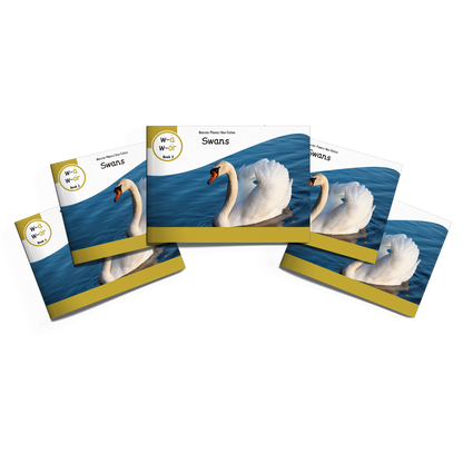 MULTI-SET: 5 x Non-Fiction Books Year 2