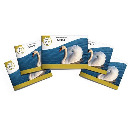 MULTI-SET: 5 x Non-Fiction Books Year 2