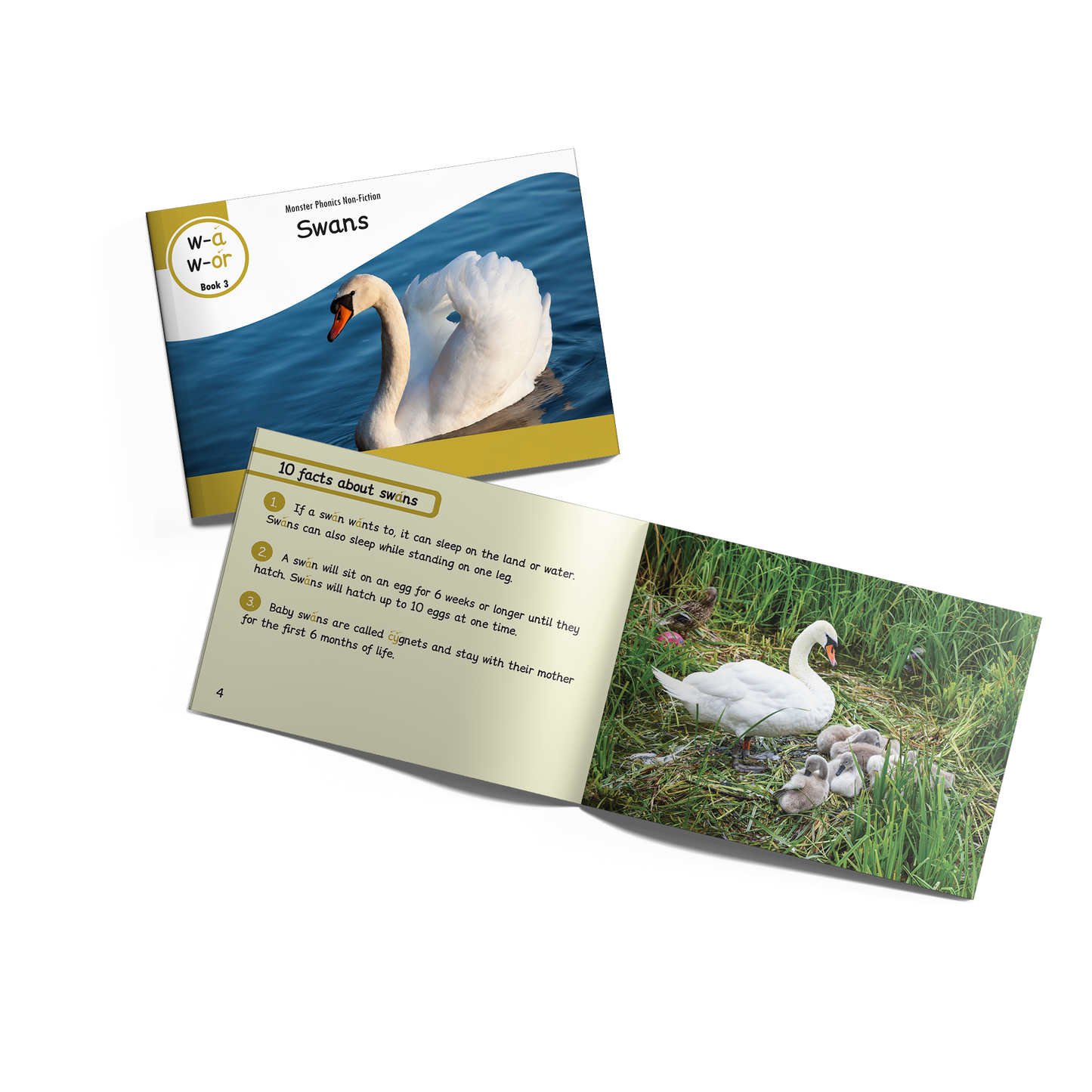 MULTI-SET: 5 x Non-Fiction Books Year 2