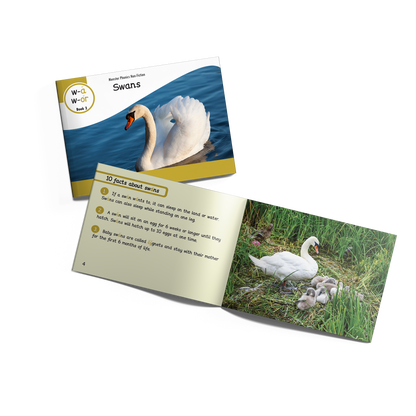 MULTI-SET: 5 x Non-Fiction Books Year 2