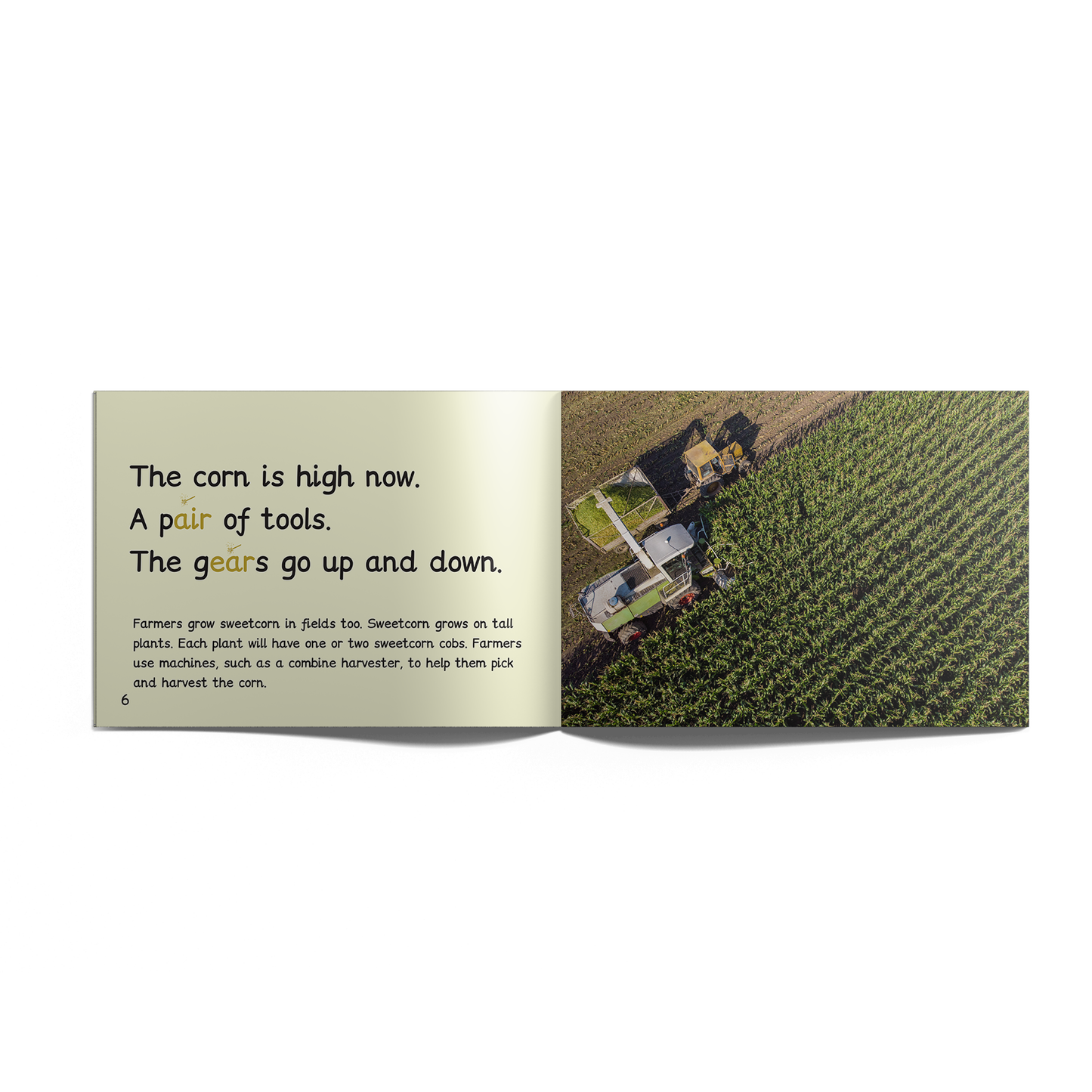 Non-Fiction Books Reception