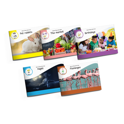 Non-Fiction Books Year 1