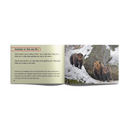 Non-Fiction Books Year 1