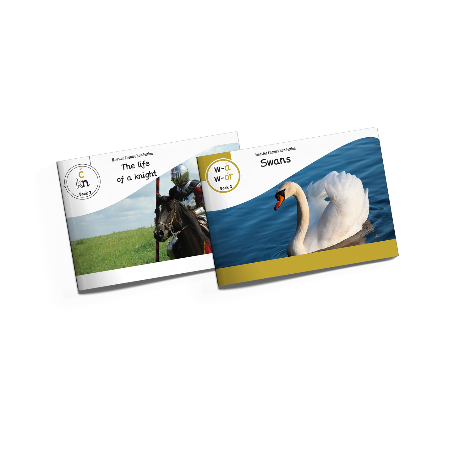 Non-Fiction Books Year 2