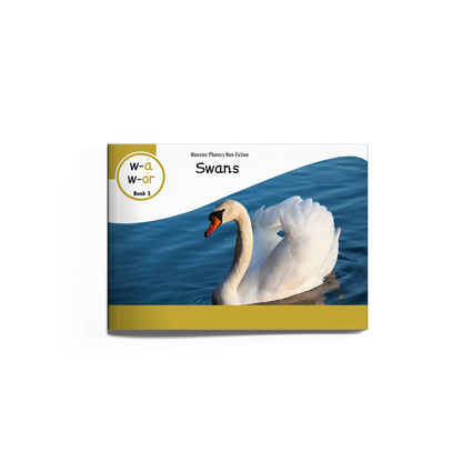 Non-Fiction Books Year 2