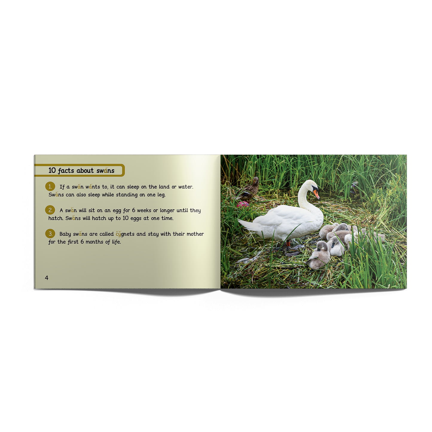 Non-Fiction Books Year 2