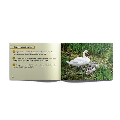 Non-Fiction Books Year 2