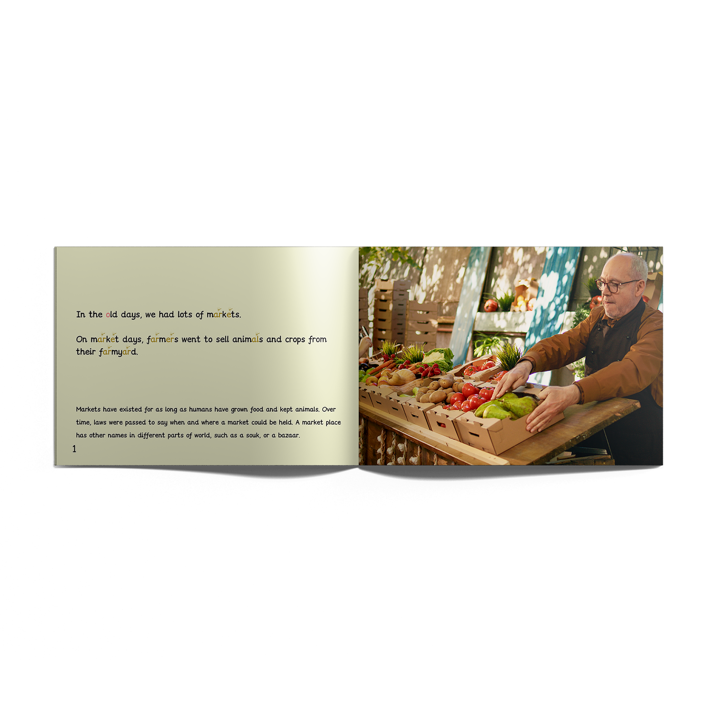 Non-Fiction Books Full Set