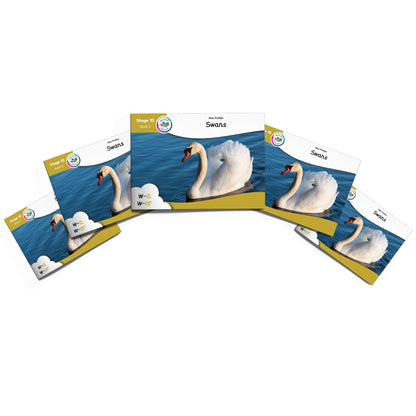 MULTI-SET: 5 x Non-Fiction Books Year 2 (Universal)