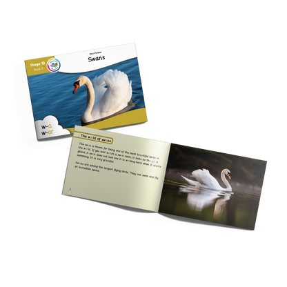 MULTI-SET: 5 x Non-Fiction Books Year 2 (Universal)