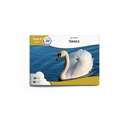 Non-Fiction Books Year 2 (Universal)