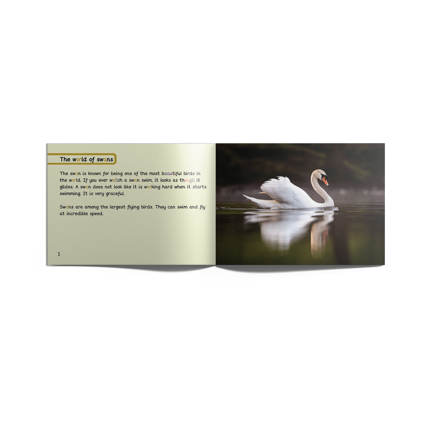 Non-Fiction Books Year 2 (Universal)