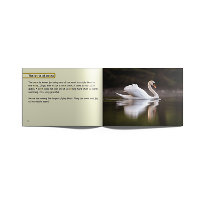 Non-Fiction Books Year 2 (Universal)